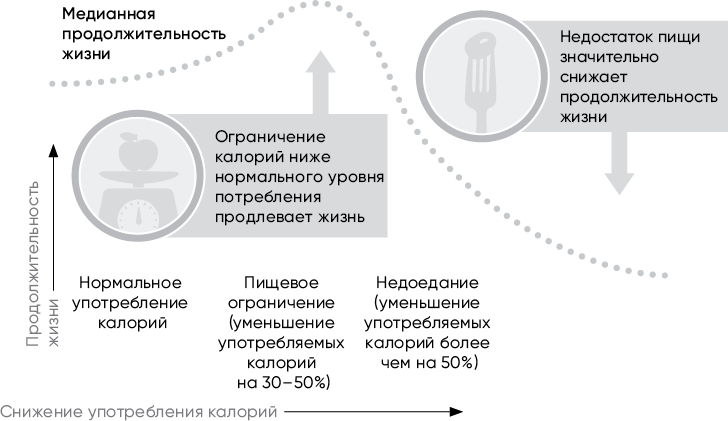 Код долголетия. 12 понятных и доступных способов сохранить здоровье, ясность ума и привлекательность на долгие годы Код долголетия. 12 понятных и доступных способов сохранить здоровье, ясность ума и привлекательность на долгие годы