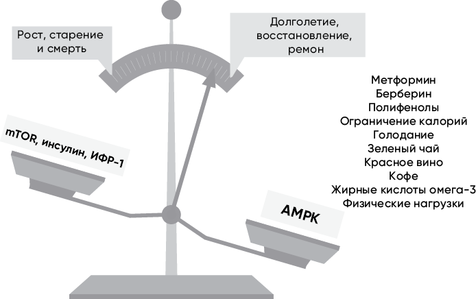 Код долголетия. 12 понятных и доступных способов сохранить здоровье, ясность ума и привлекательность на долгие годы Код долголетия. 12 понятных и доступных способов сохранить здоровье, ясность ума и привлекательность на долгие годы