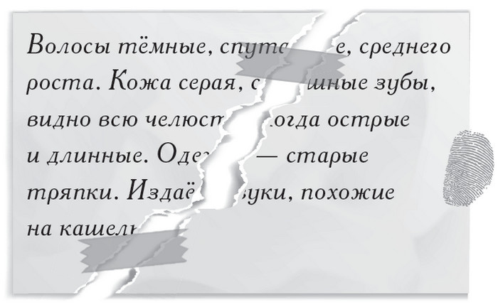 Плюшевая голова Плюшевая голова