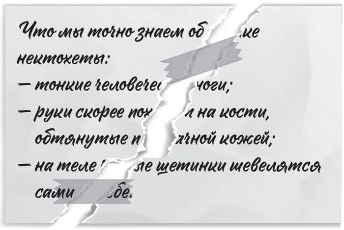 Плюшевая голова Плюшевая голова