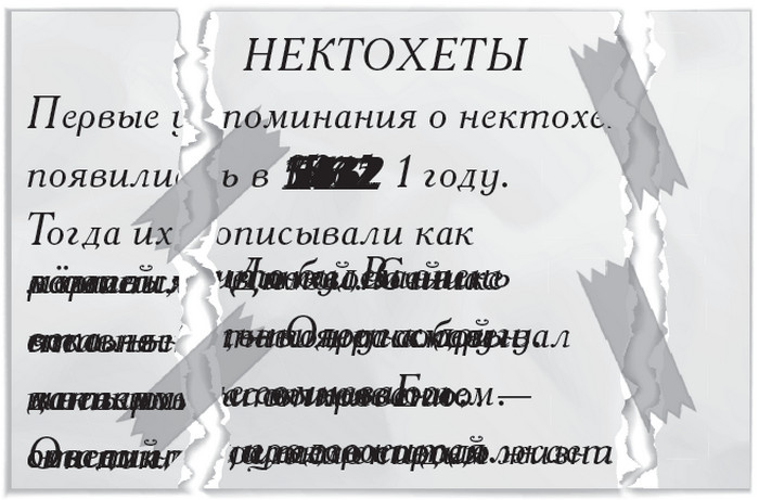 Плюшевая голова Плюшевая голова