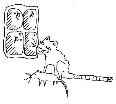 Старый домовой Абоского замка - i_006.png