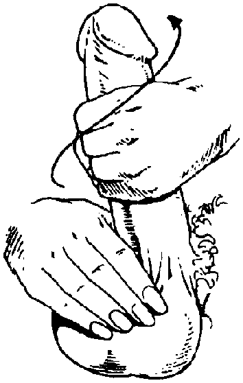 Библия секса - i_035.png