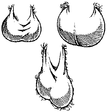Библия секса - i_039.png