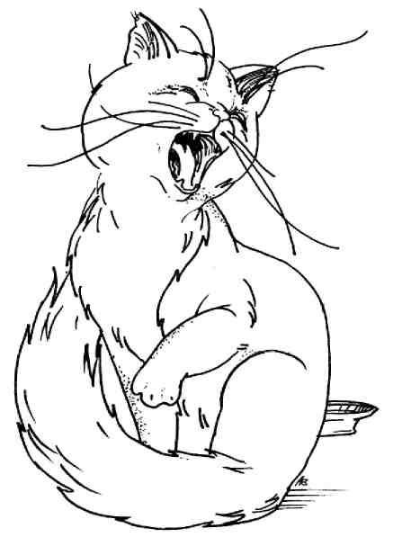 Кошки как дети - i_003.jpg