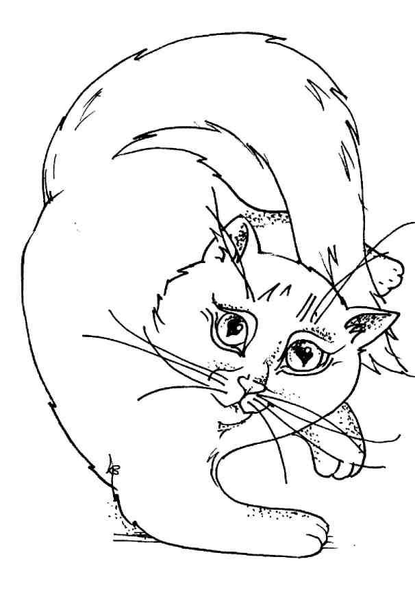 Кошки как дети - i_014.jpg