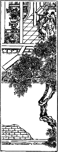 Рассказы Ляо Чжая о необычайном - i_005.png