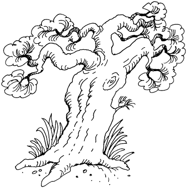 1000 загадок, сказок, басен - i_034.png