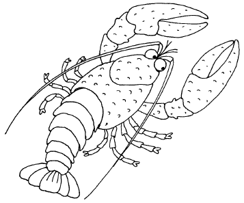 1000 загадок, сказок, басен - i_052.png