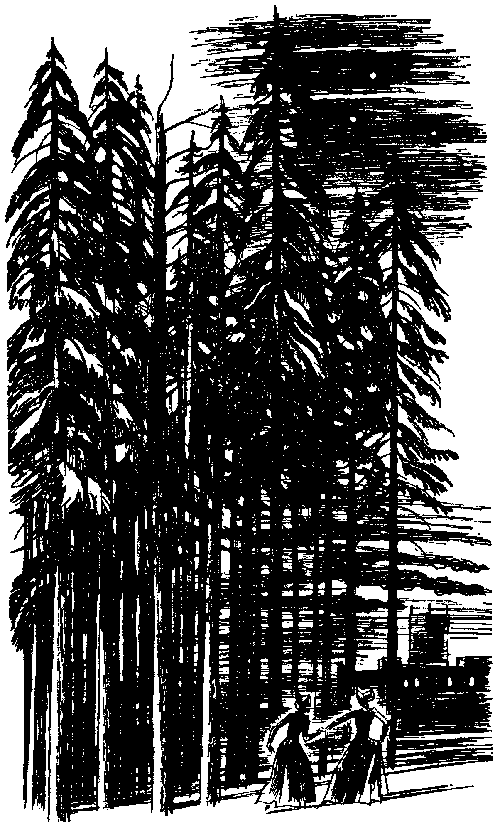 Женщина в белом (1992г.) - i_002.png