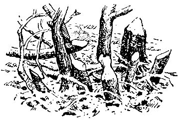 Севка, Савка и Ромка - i_004.png