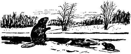 Севка, Савка и Ромка - i_007.png