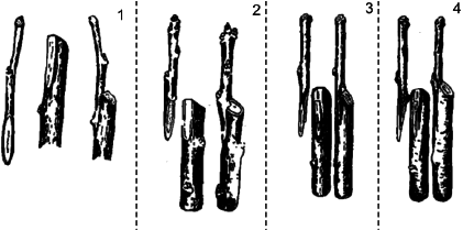 Ягодники. Руководство по разведению крыжовника и смородины - _140.png