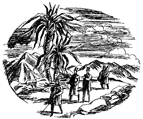 Плавучий остров (ил.) - i_005.png