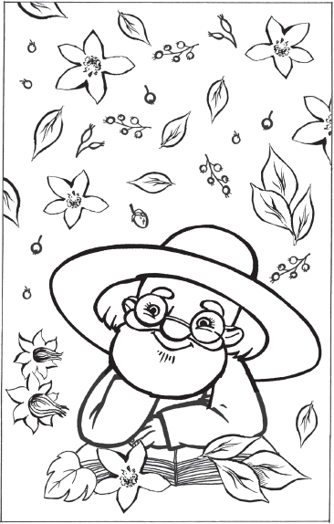 Большая книга умного дачника - _04.png
