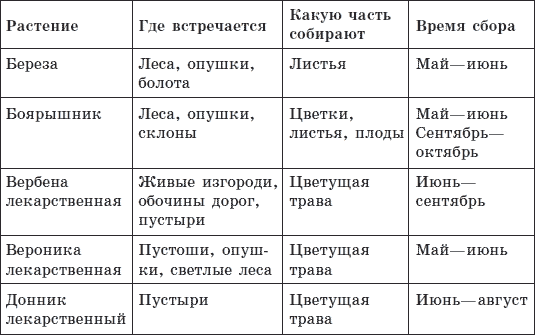 Как лечиться чаем: зеленым, черным, травяными, экзотическими - tabl1_1.png