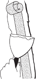 Гипсокартон: шаг за шагом - _14.png