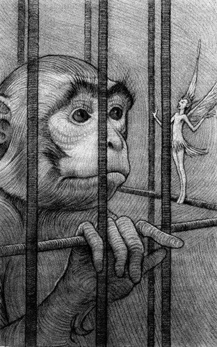 Питер Пэн и тайна Рандуна - pic08.jpg