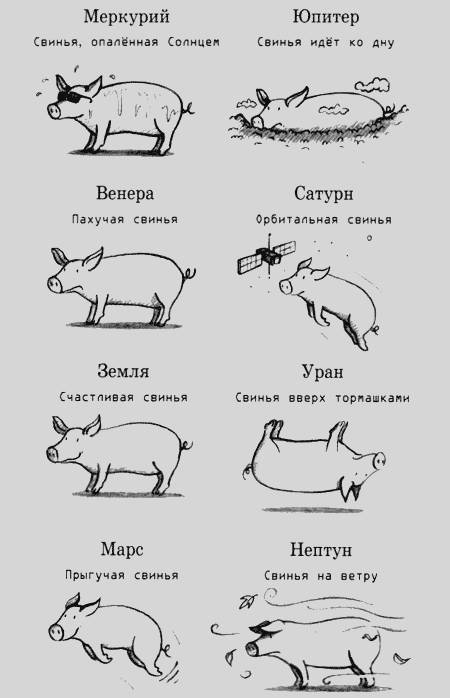Джордж и Большой взрыв - _7.jpg