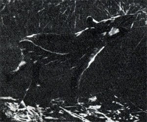 В краю гоацинов - doc2fb_image_02000007.jpg