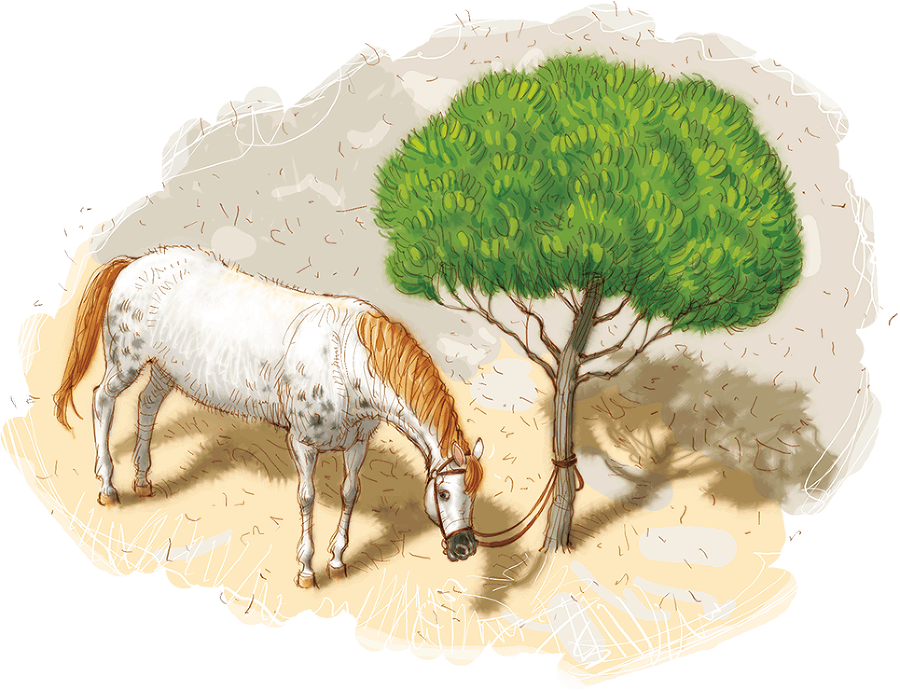 Пеппи Длинныйчулок (сборник). Художник А. Джаникян - i_020.png