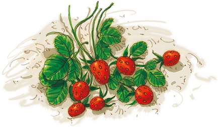 Пеппи Длинныйчулок (сборник). Художник А. Джаникян - i_094.png