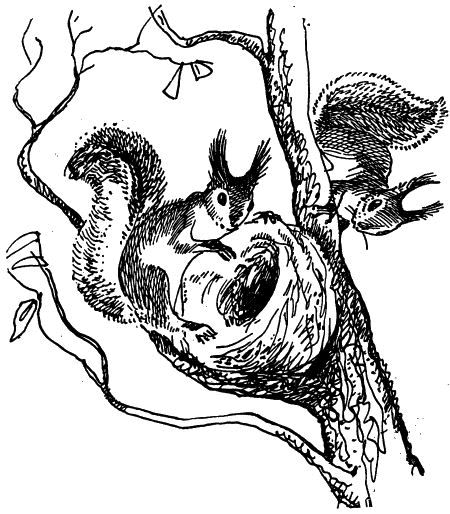 Черничные Глазки - i_030.png