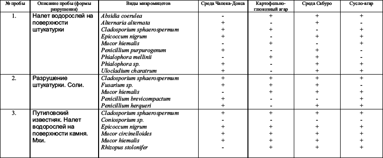 Типология разрушений памятников культуры - i_118.png