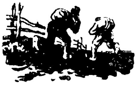 Загадка Большой тропы - i_010.png