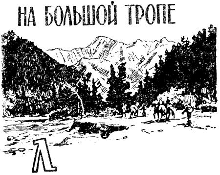 Загадка Большой тропы - i_011.png
