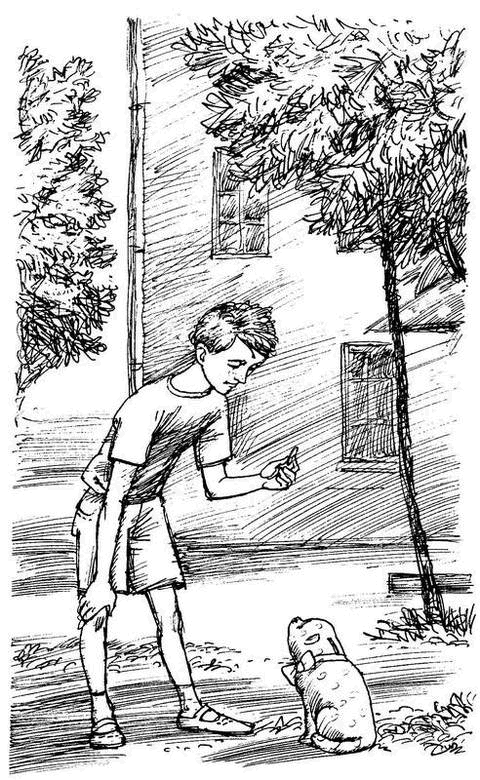 Сказочные повести (сборник) - i_026.png