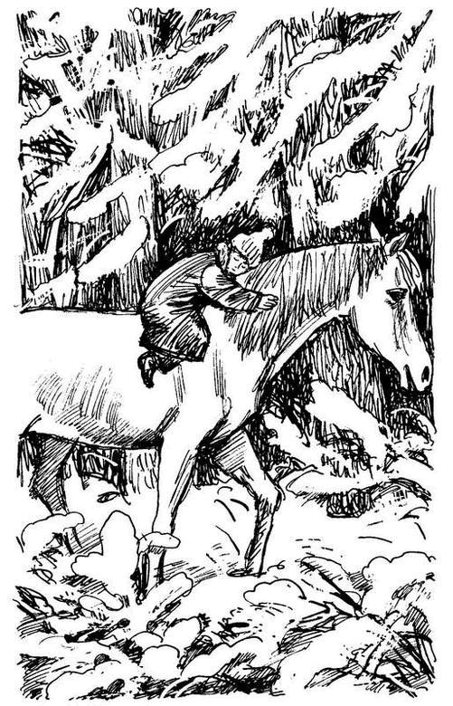 Сказочные повести (сборник) - i_043.png