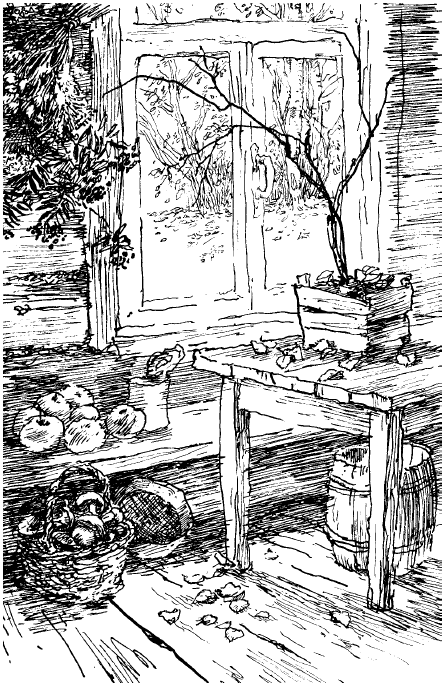 Заячьи лапы (сборник) - i_018.png