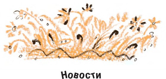 Король-Рысь - i_018.jpg