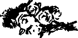 Букет алых роз - image008.png