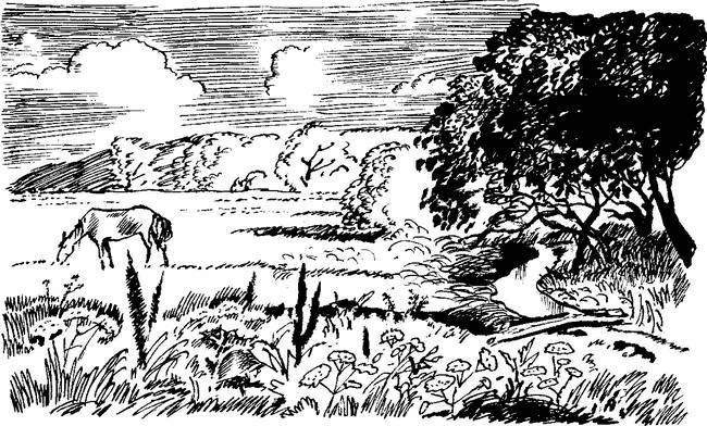Камешки на ладони (сборник) - i_005.png