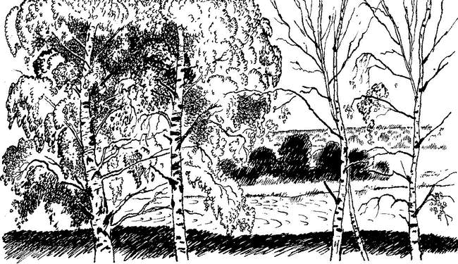 Камешки на ладони (сборник) - i_017.png