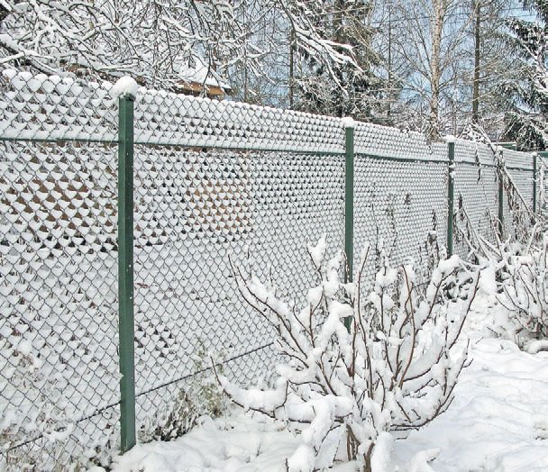 Загородный участок с нуля - i_114.jpg