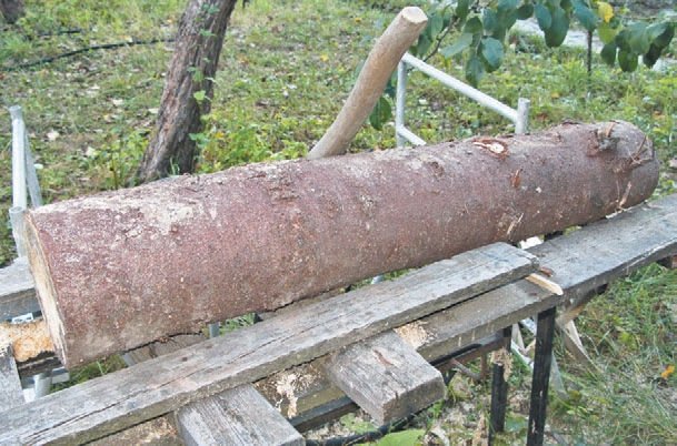 Загородный участок с нуля - i_283.jpg