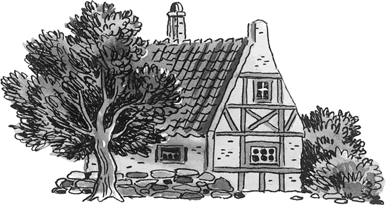 Королевство кривых зеркал (сборник) - i_038.png