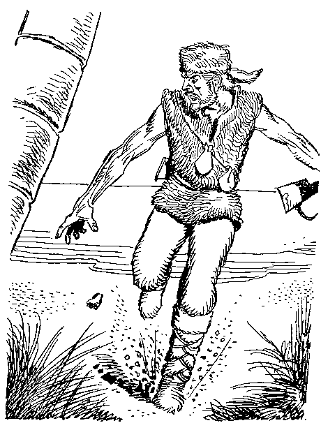 Приключения Робинзона Крузо (илл.) - i_044.png