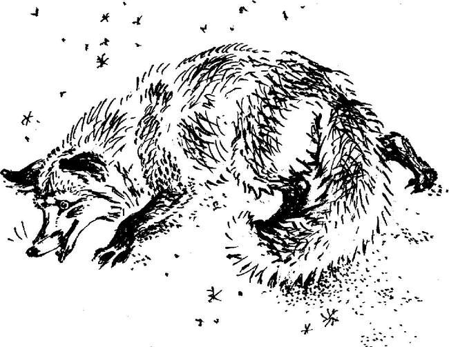 Аленушкины сказки (сборник) - i_021.png