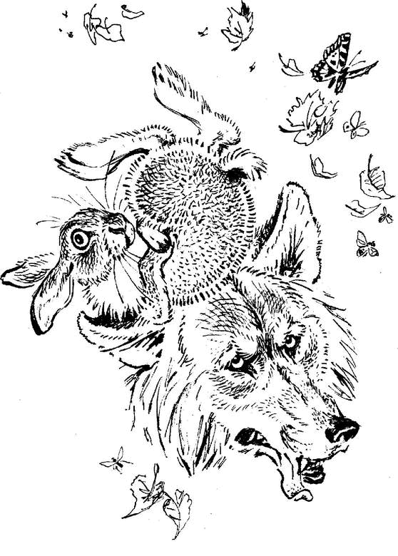 Аленушкины сказки (сборник) - i_036.png