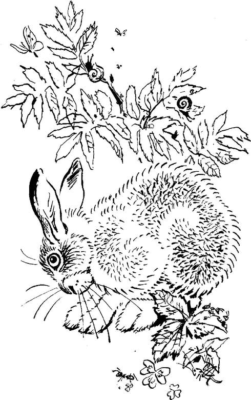 Аленушкины сказки (сборник) - i_037.png