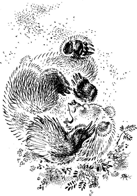 Аленушкины сказки (сборник) - i_043.png