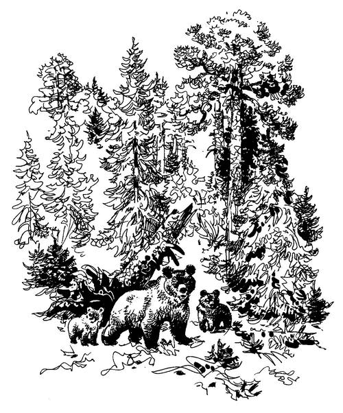 Лесные тайнички (сборник) (с илл.) - i_002.png