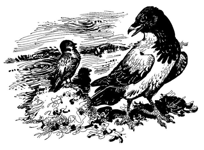 Лесные тайнички (сборник) (с илл.) - i_008.png