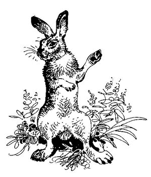 Лесные тайнички (сборник) (с илл.) - i_040.png