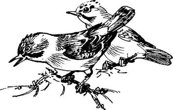 На теплой земле (сборник) - i_072.png