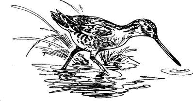 На теплой земле (сборник) - i_136.png